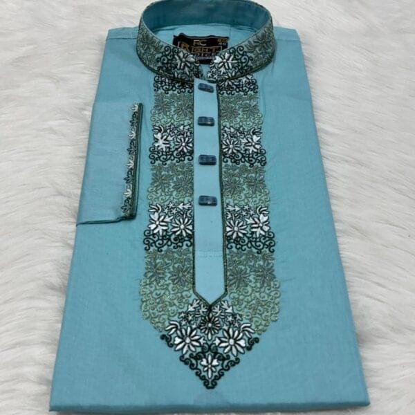 Embroidery Classic Panjabi (CODE: 551)